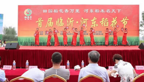 太平稻改：时代风吹稻花香